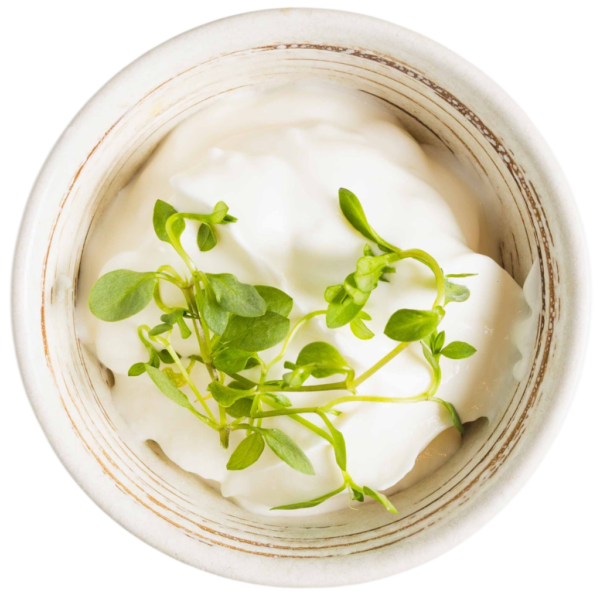 Yogur
